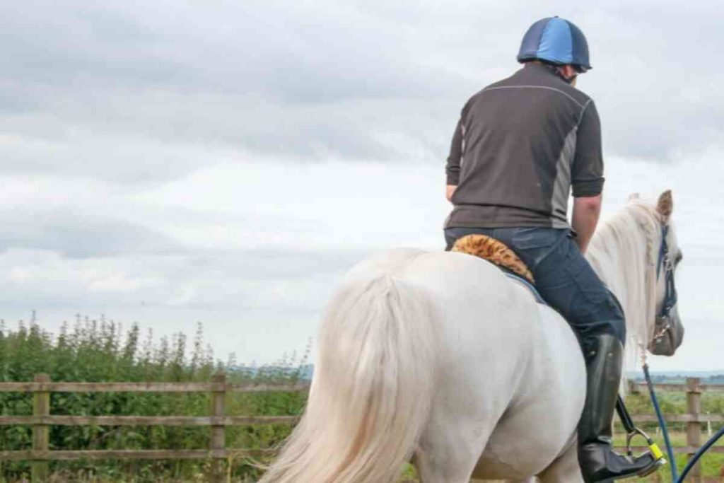 A primeira aula de equitação