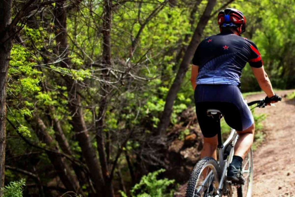 5 dicas para iniciantes em mountain bike