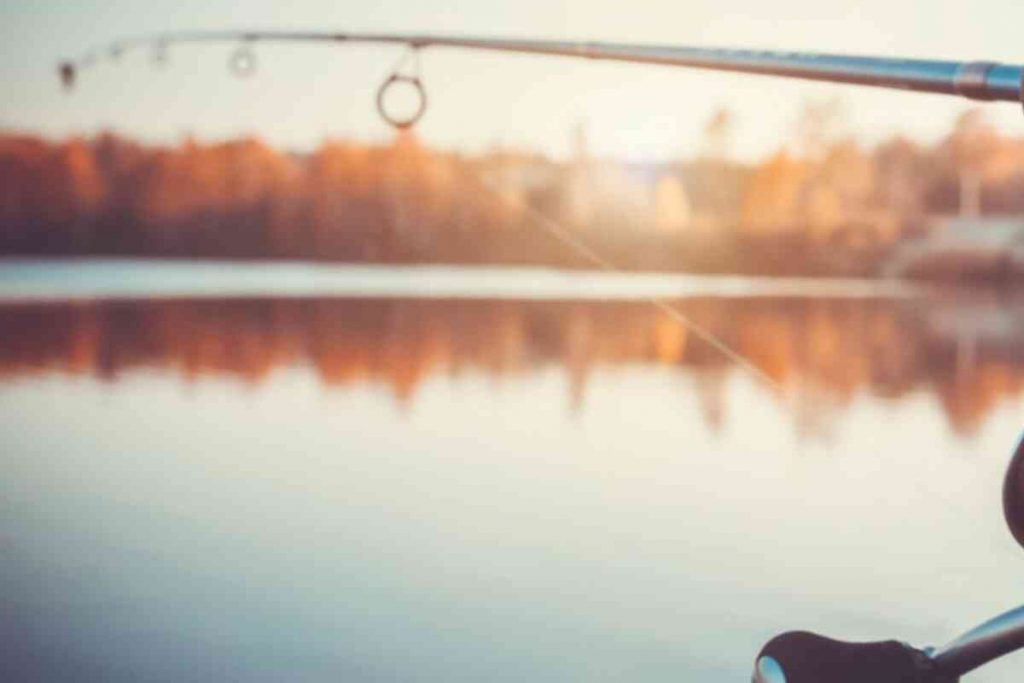 Glossário de termos de pesca grossa