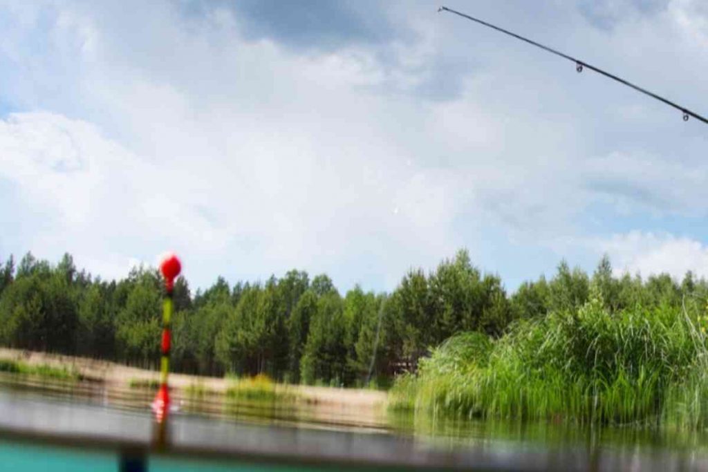 Métodos de pesca grosseira