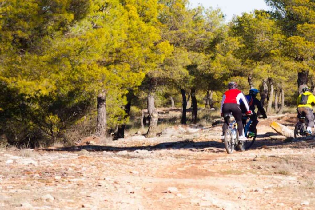 Os benefícios do mountain bike