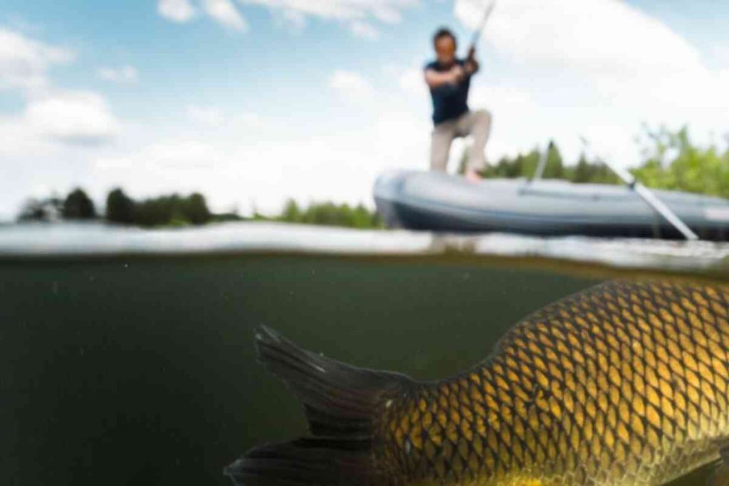 As 10 principais dicas para começar na pesca grossa