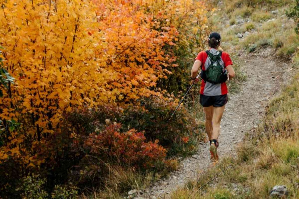 5 Terrains de trilha de corrida e como lidar com eles